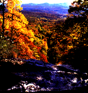 Amicalola Falls in the fall